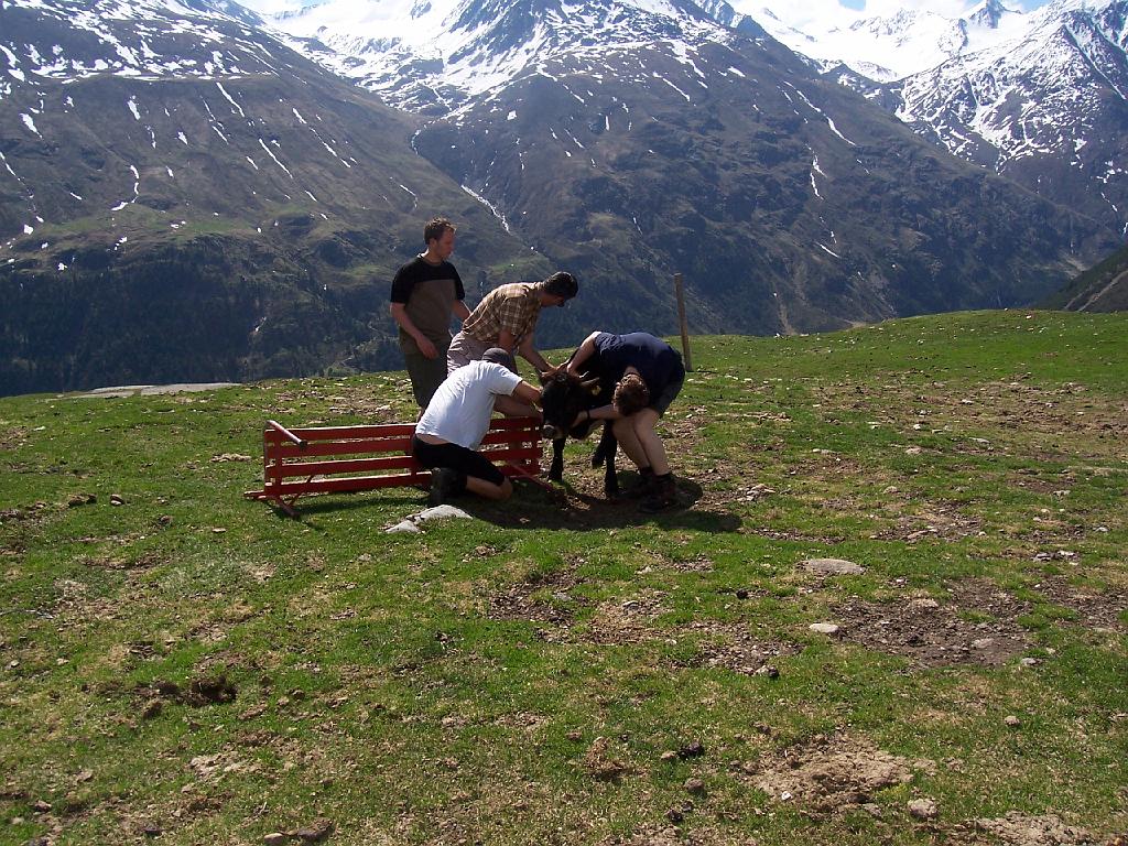 2004-01-09-02.44.19 Wildspitze Thomas